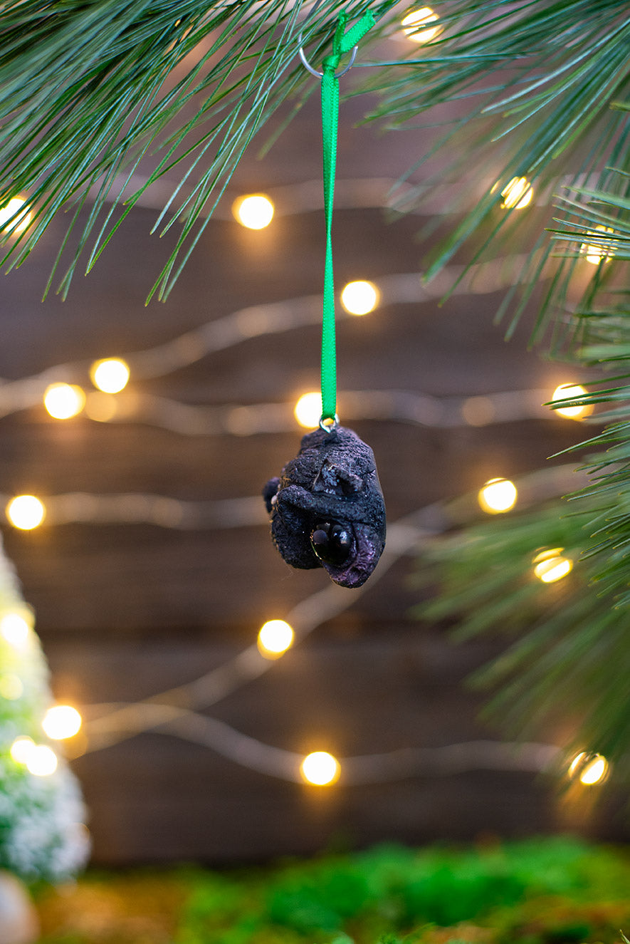 Lump of Coal Ornament w/ Green Ribbon #027