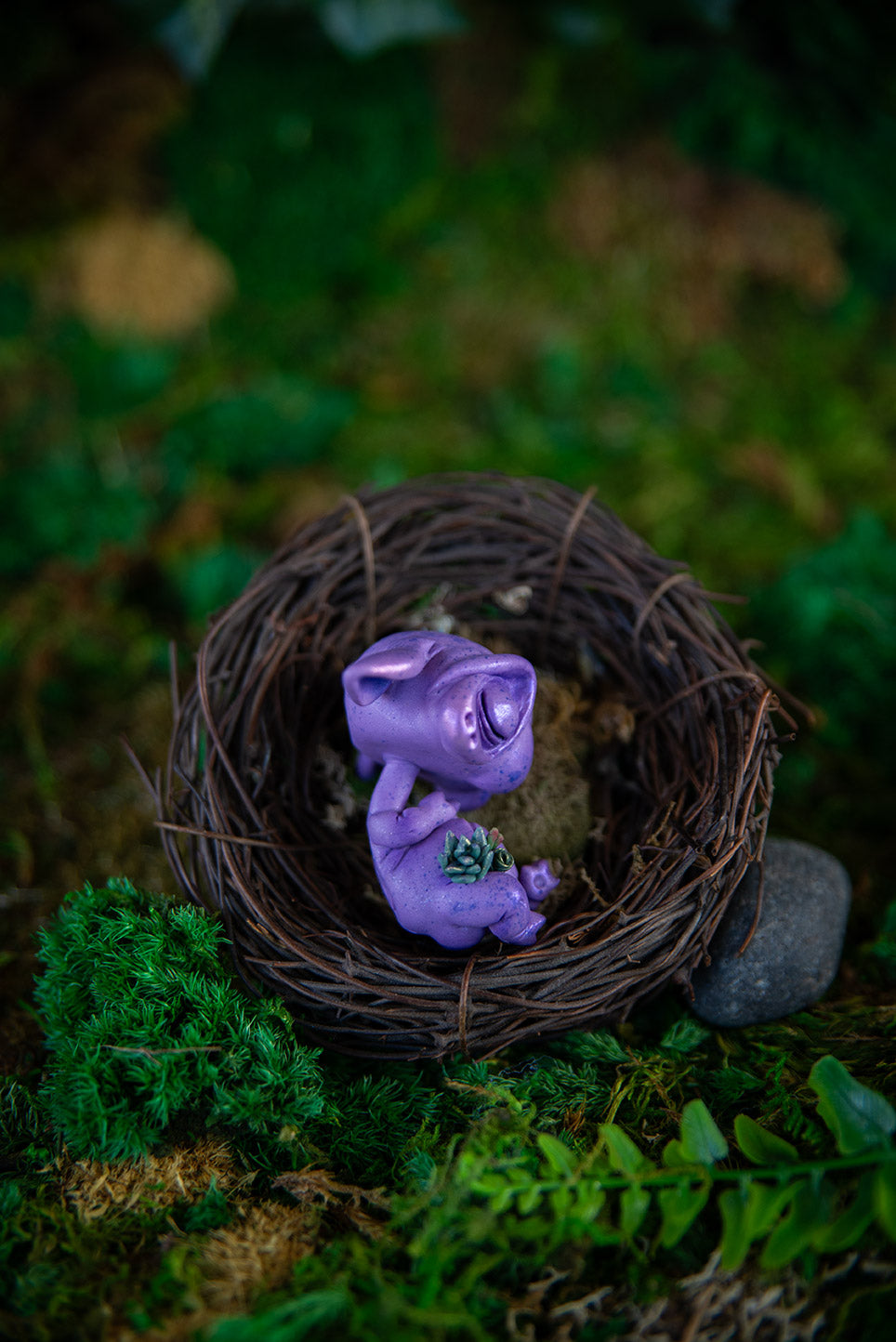 Succulent Goblin Baby Mish #031