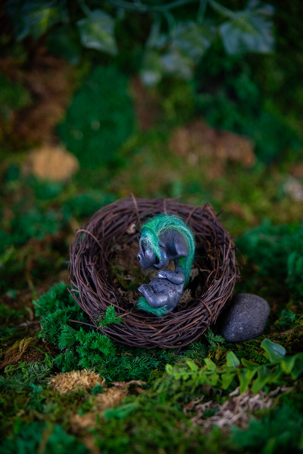 Gray Kelpie Baby Mish #038