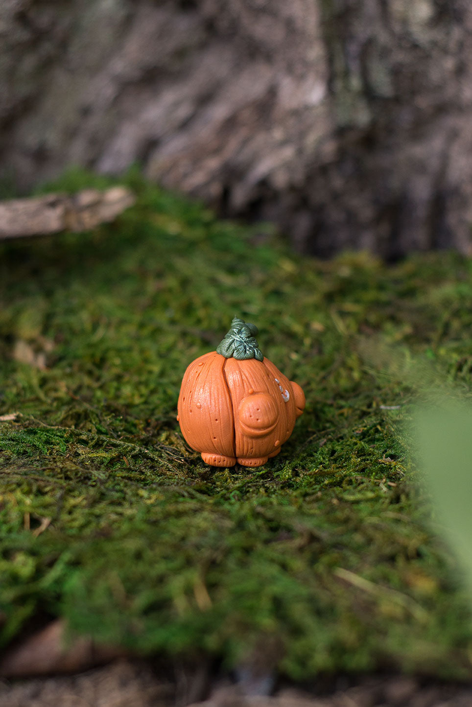 Pumpkin Spore #9