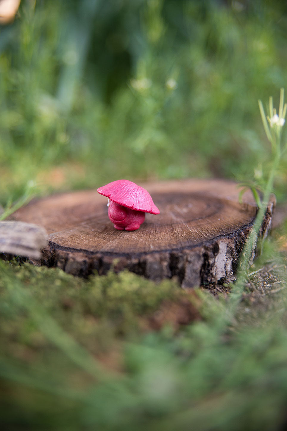 Red Mushroom Spore #12