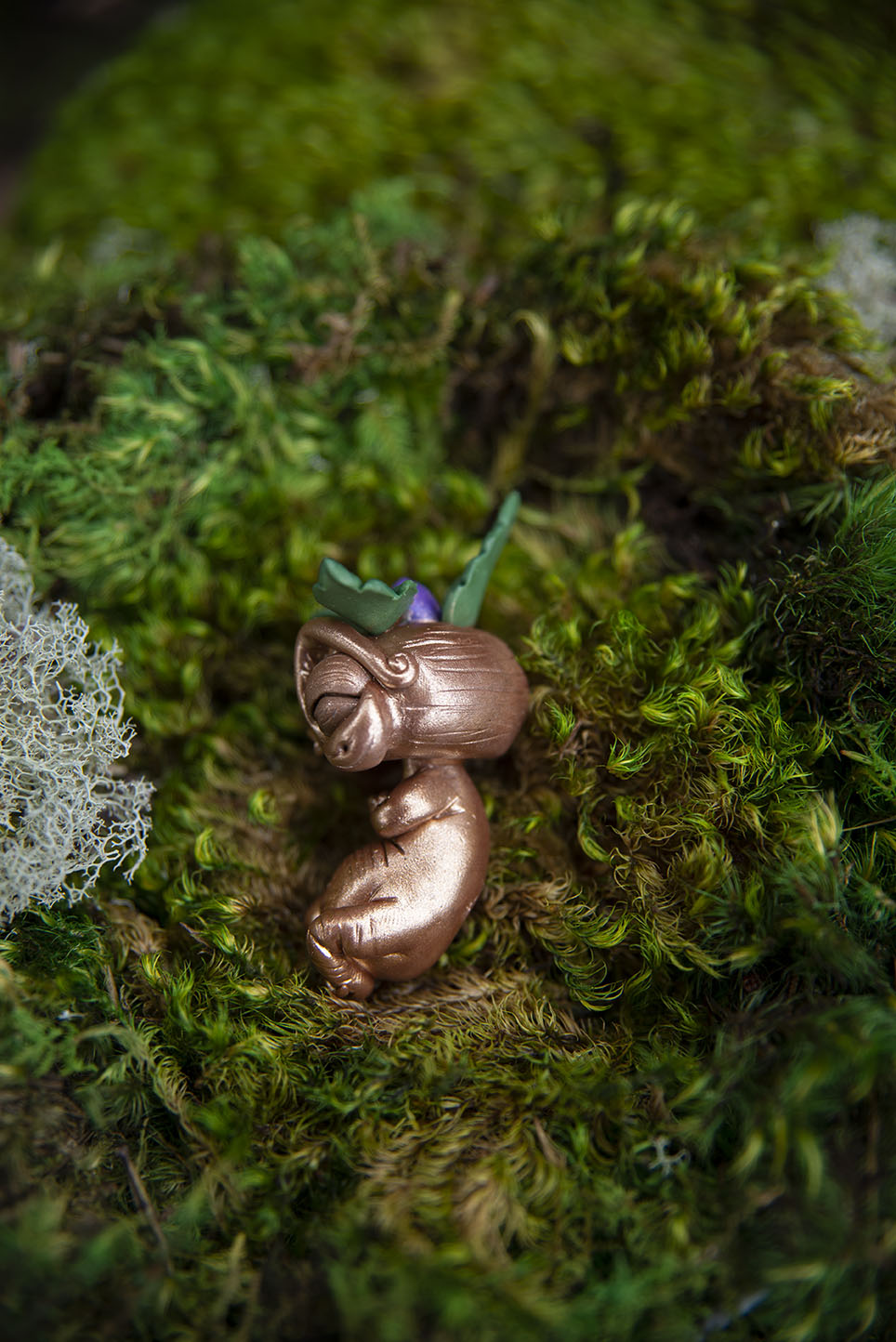 Felix the Golden Mandrake Mishling #007