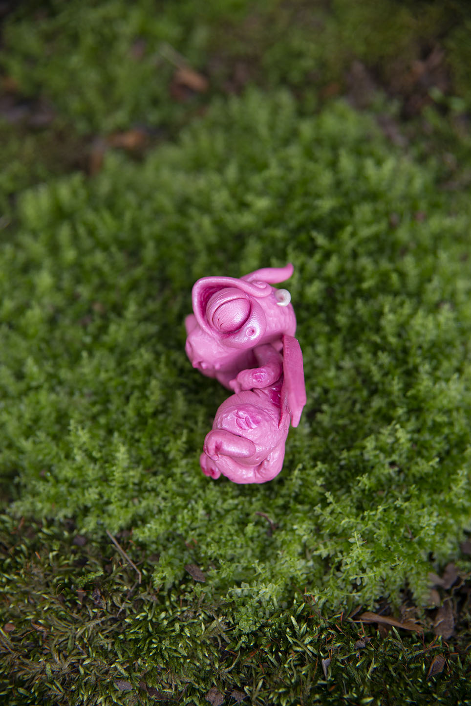 Pink Dragon Mishling #024