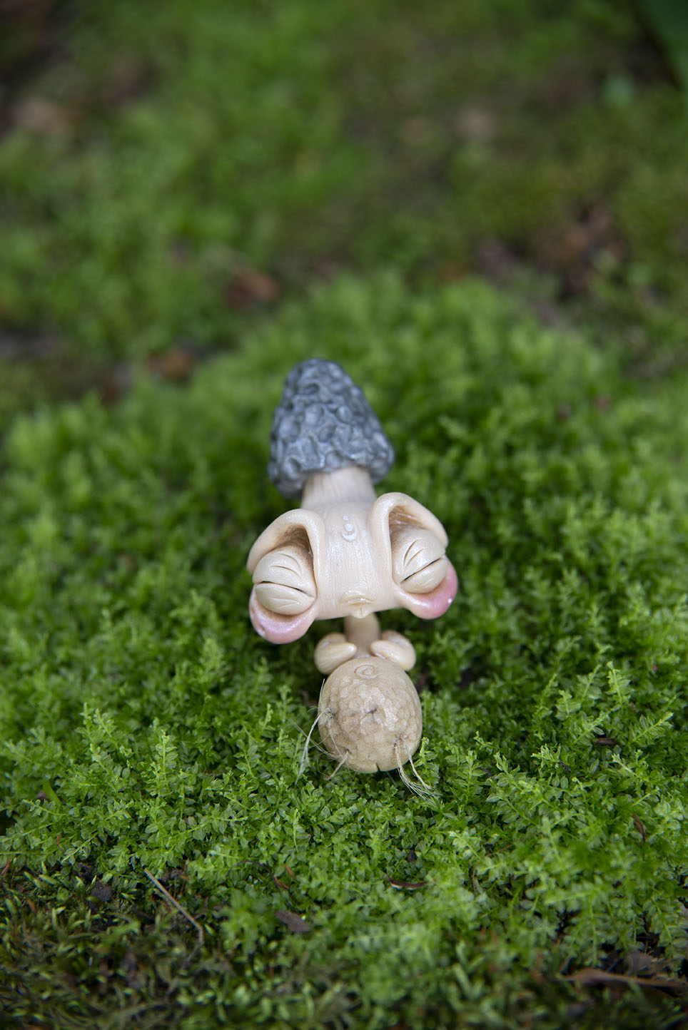 Morel Mushroom Mishling #020