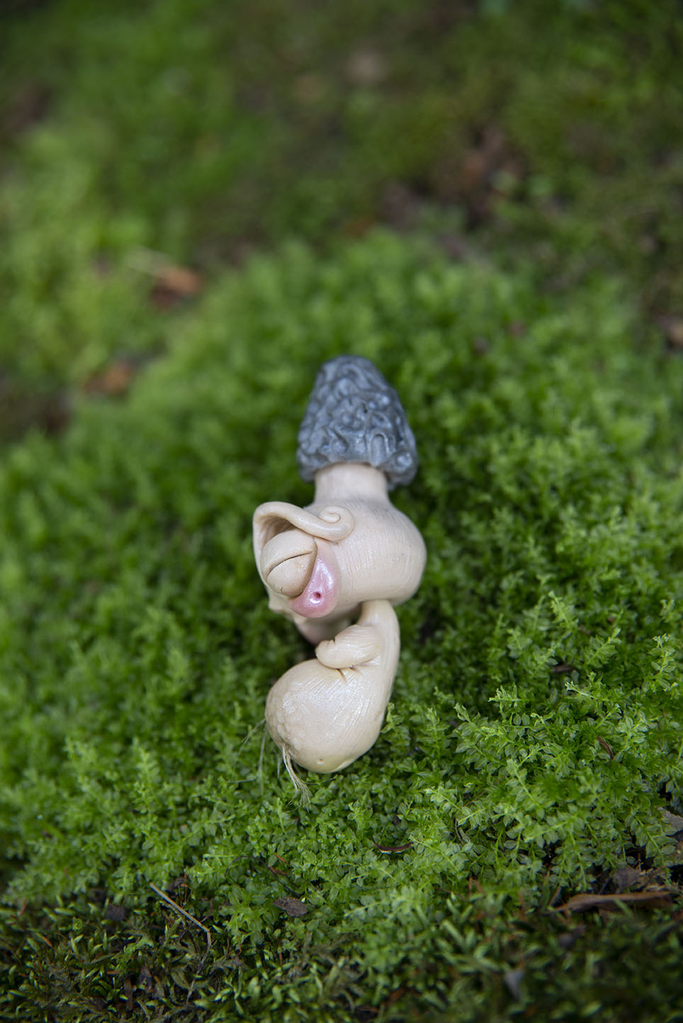Morel Mushroom Mishling #020
