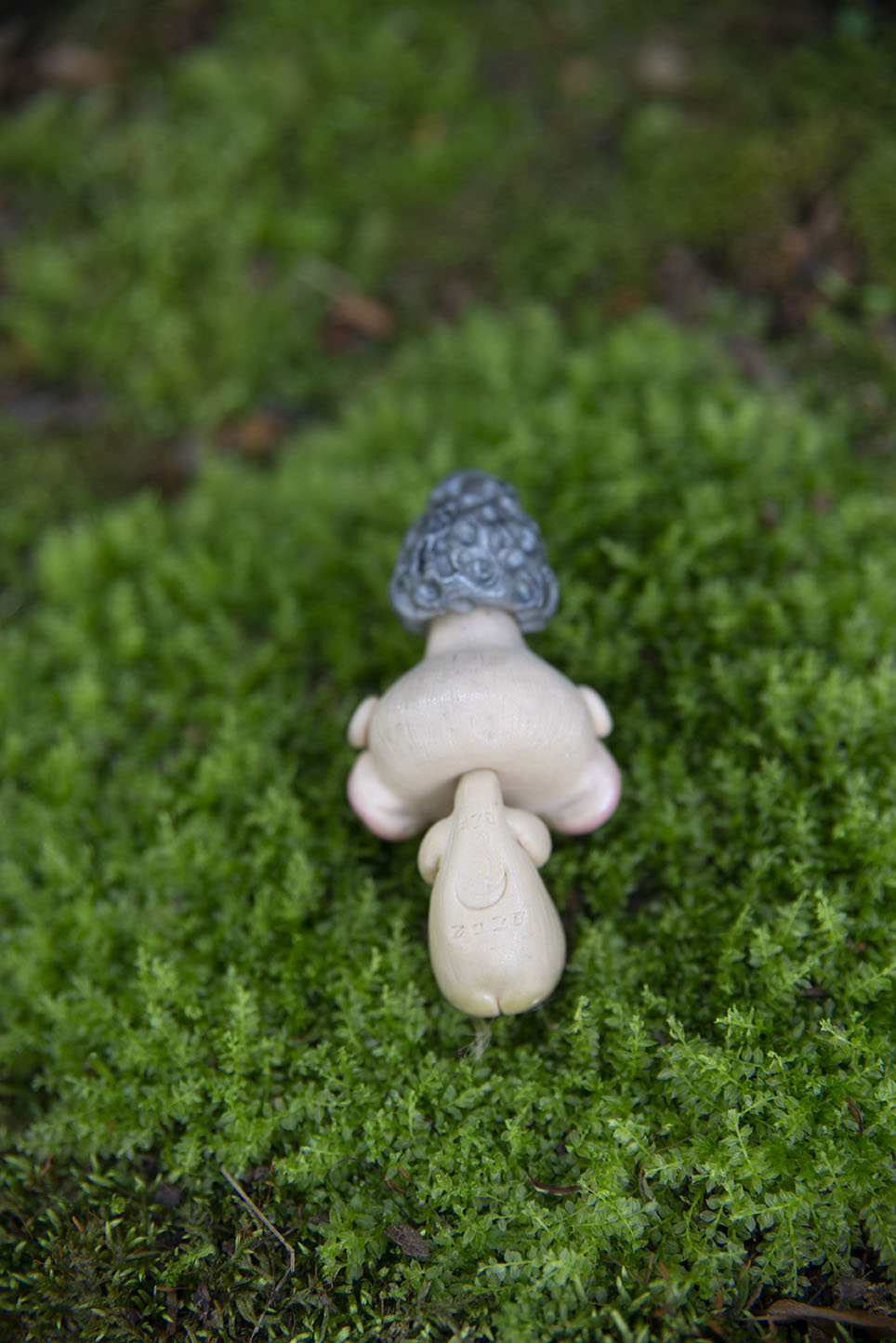 Morel Mushroom Mishling #020