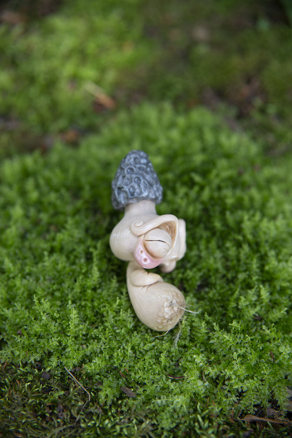 Morel Mushroom Mishling #020