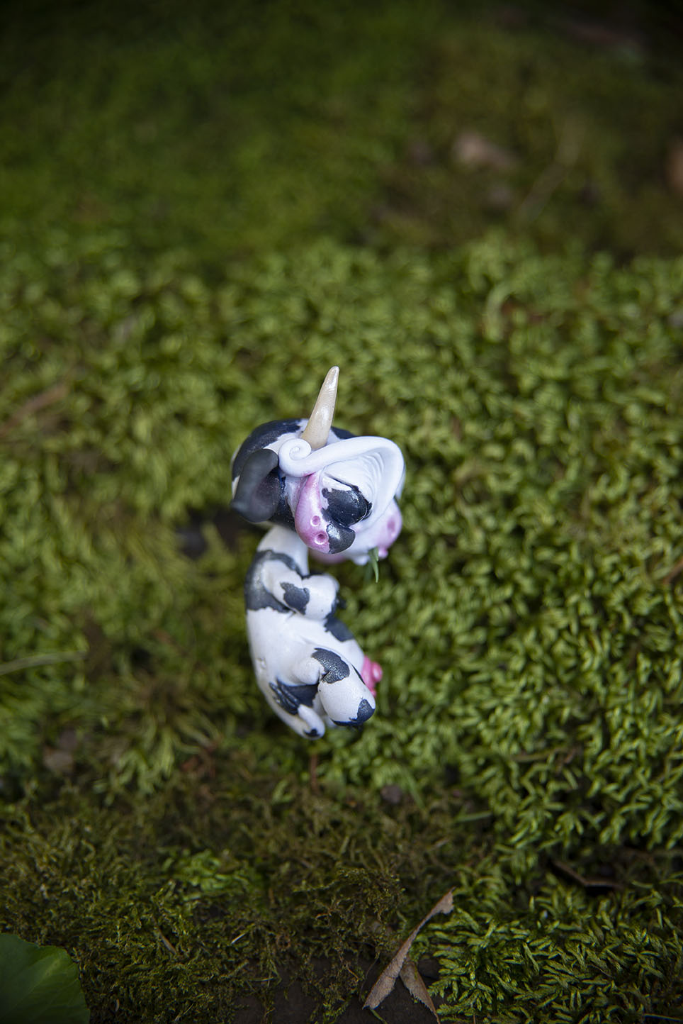 Cow "Abby Abduction" Mishling #43