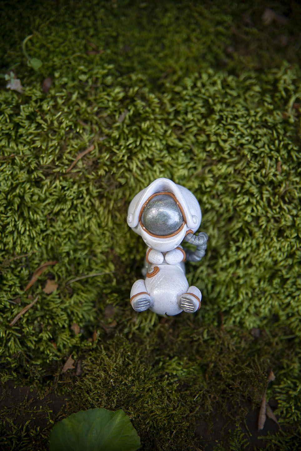 Astronaut Mishling #42
