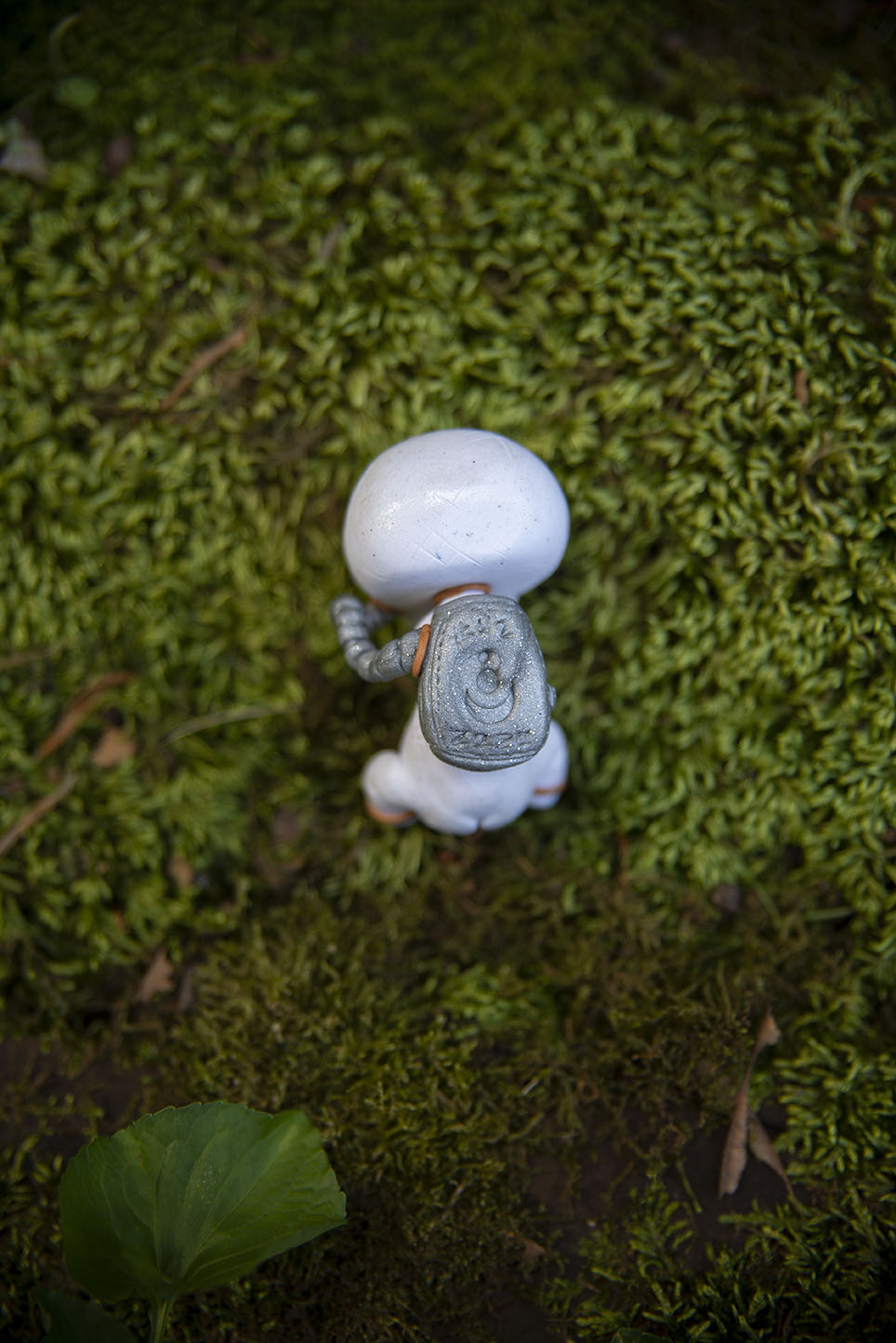 Astronaut Mishling #42