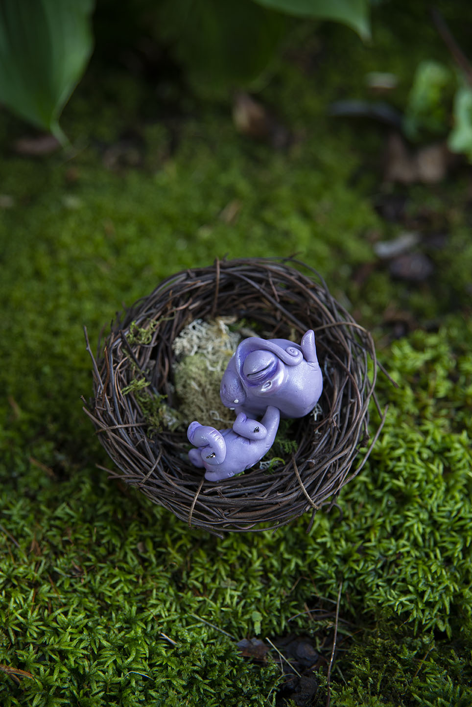 Hippo Mishling #011/2021