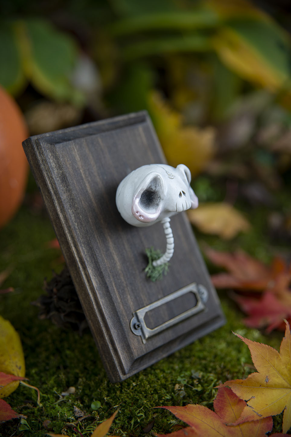 White Skull Mount #014/2021