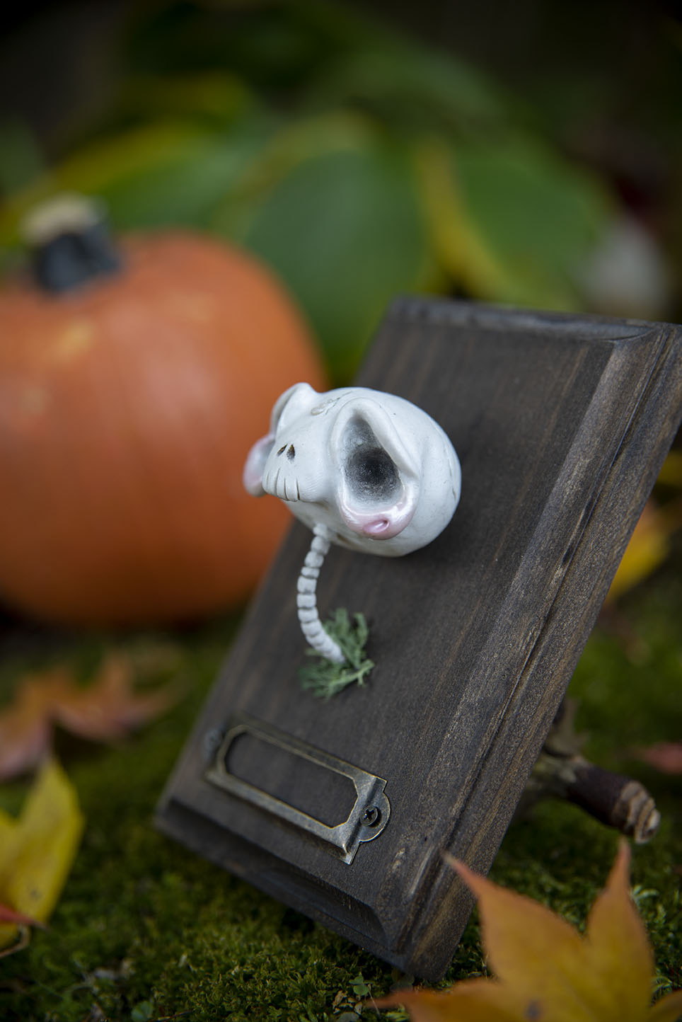 White Skull Mount #014/2021