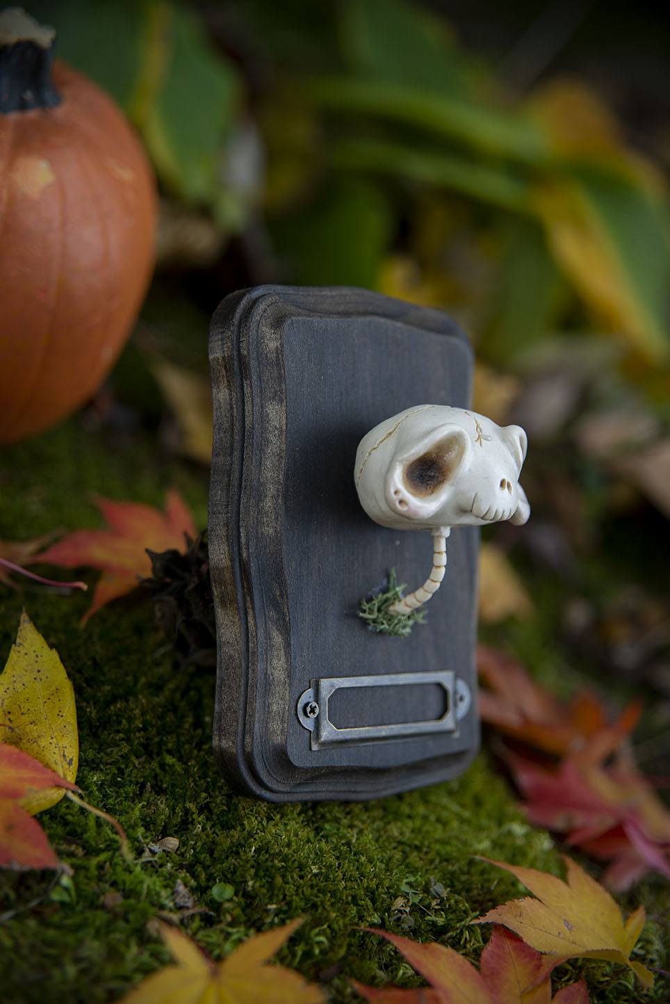 Skull Mount #016/2021