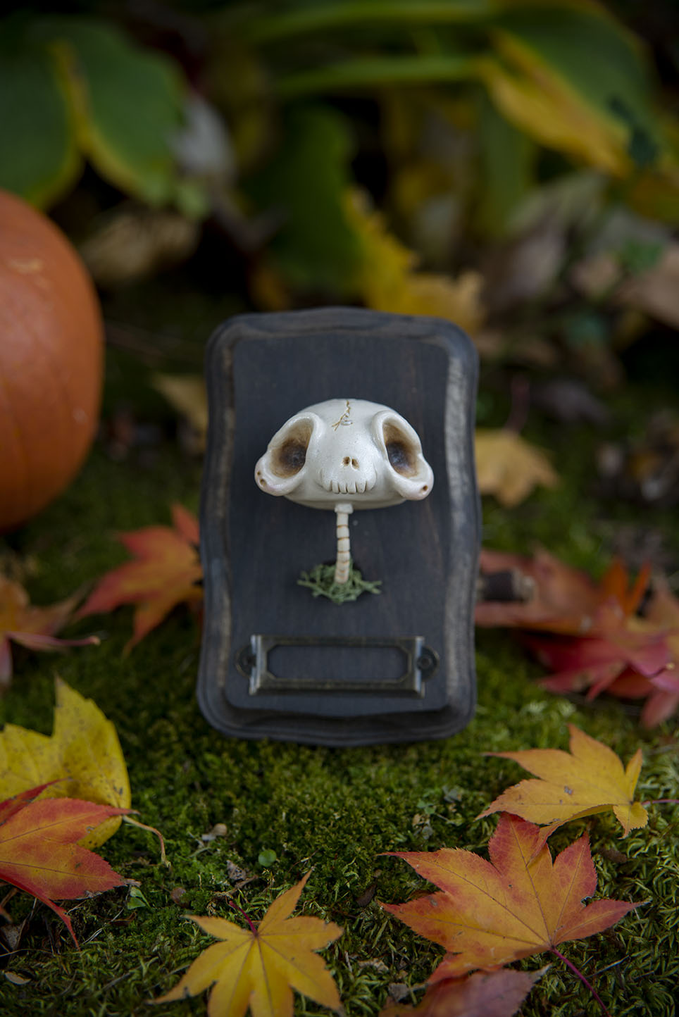 Skull Mount #016/2021