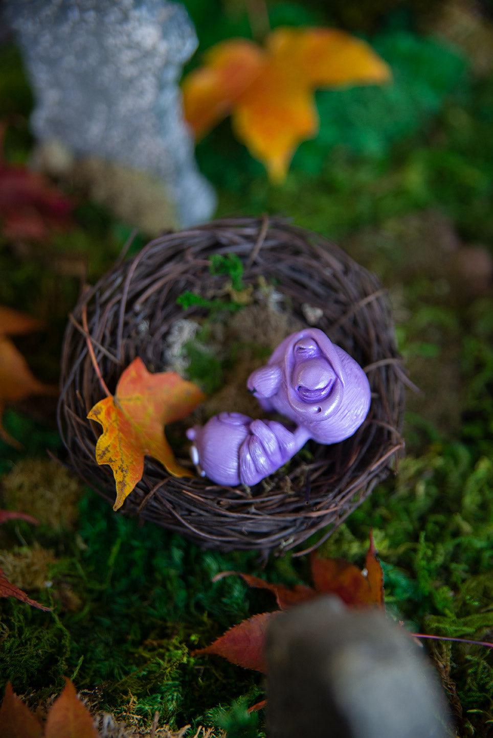 Purple Spider Mishling #024