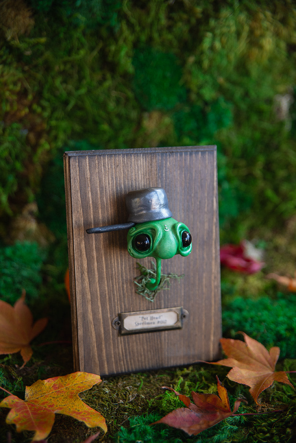 "Pot Head" Specimen Mount #012