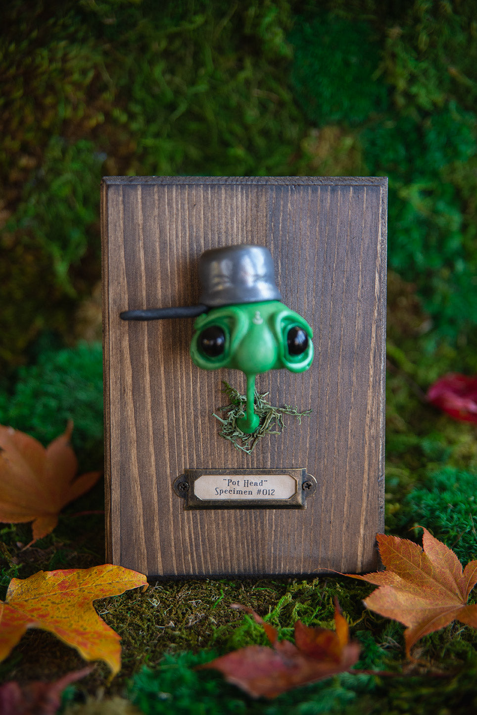"Pot Head" Specimen Mount #012