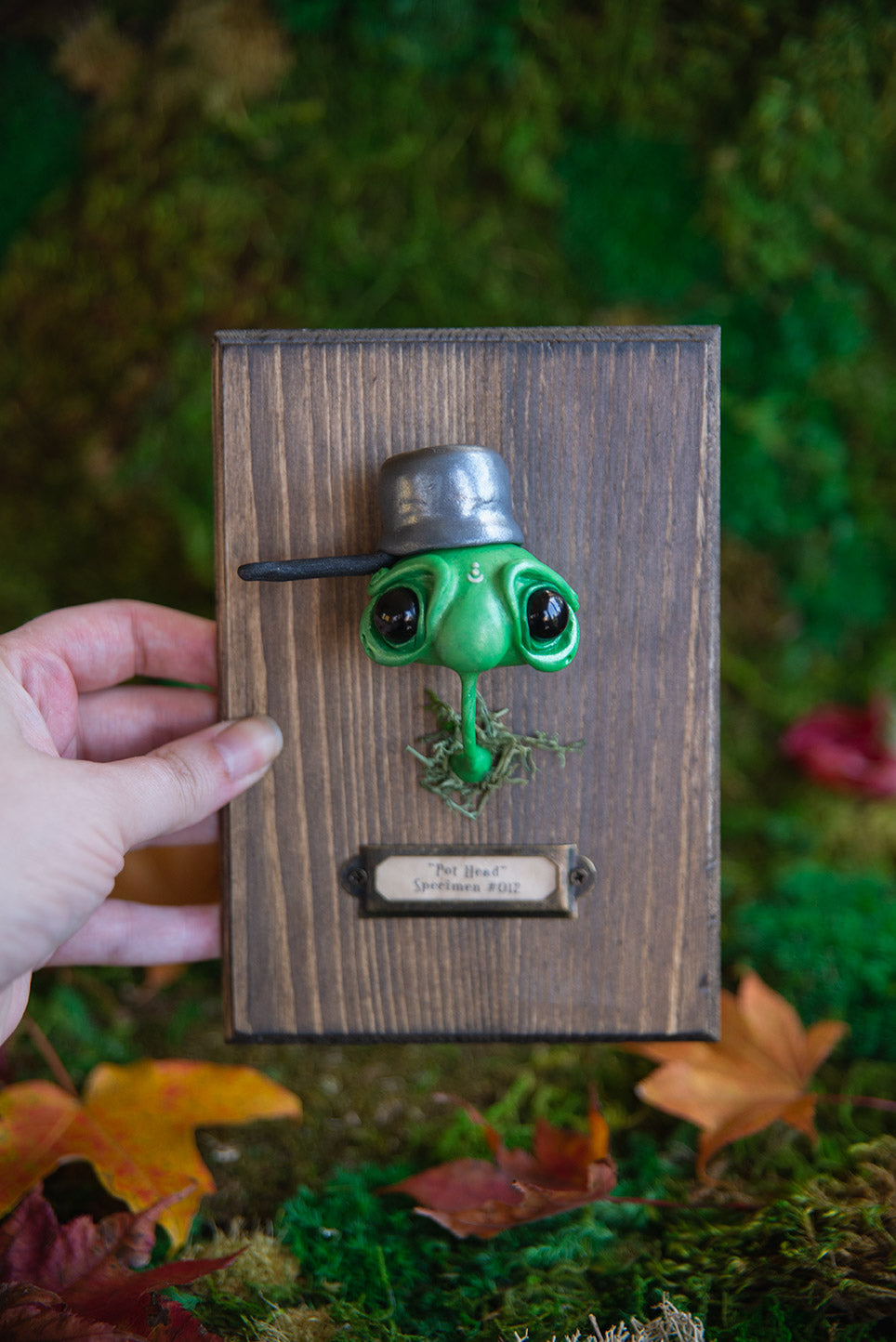 "Pot Head" Specimen Mount #012