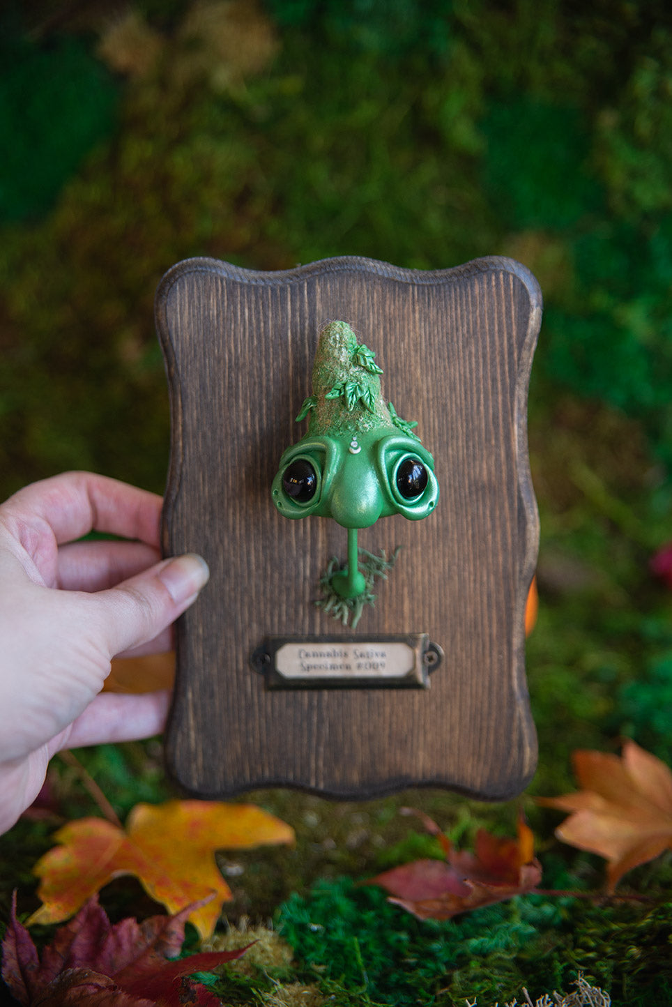 Sativa Specimen Mount #009