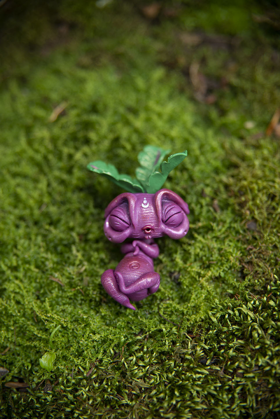 Beet Mandrake Mishling #031