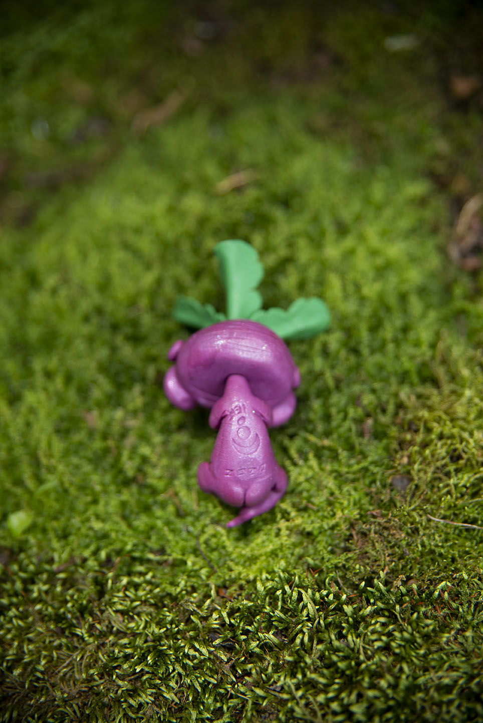Beet Mandrake Mishling #031