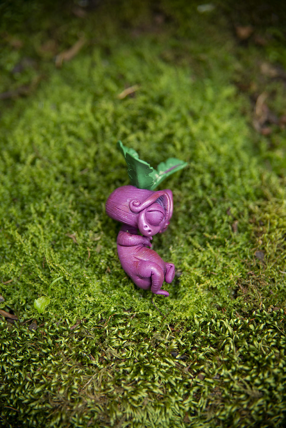 Beet Mandrake Mishling #031