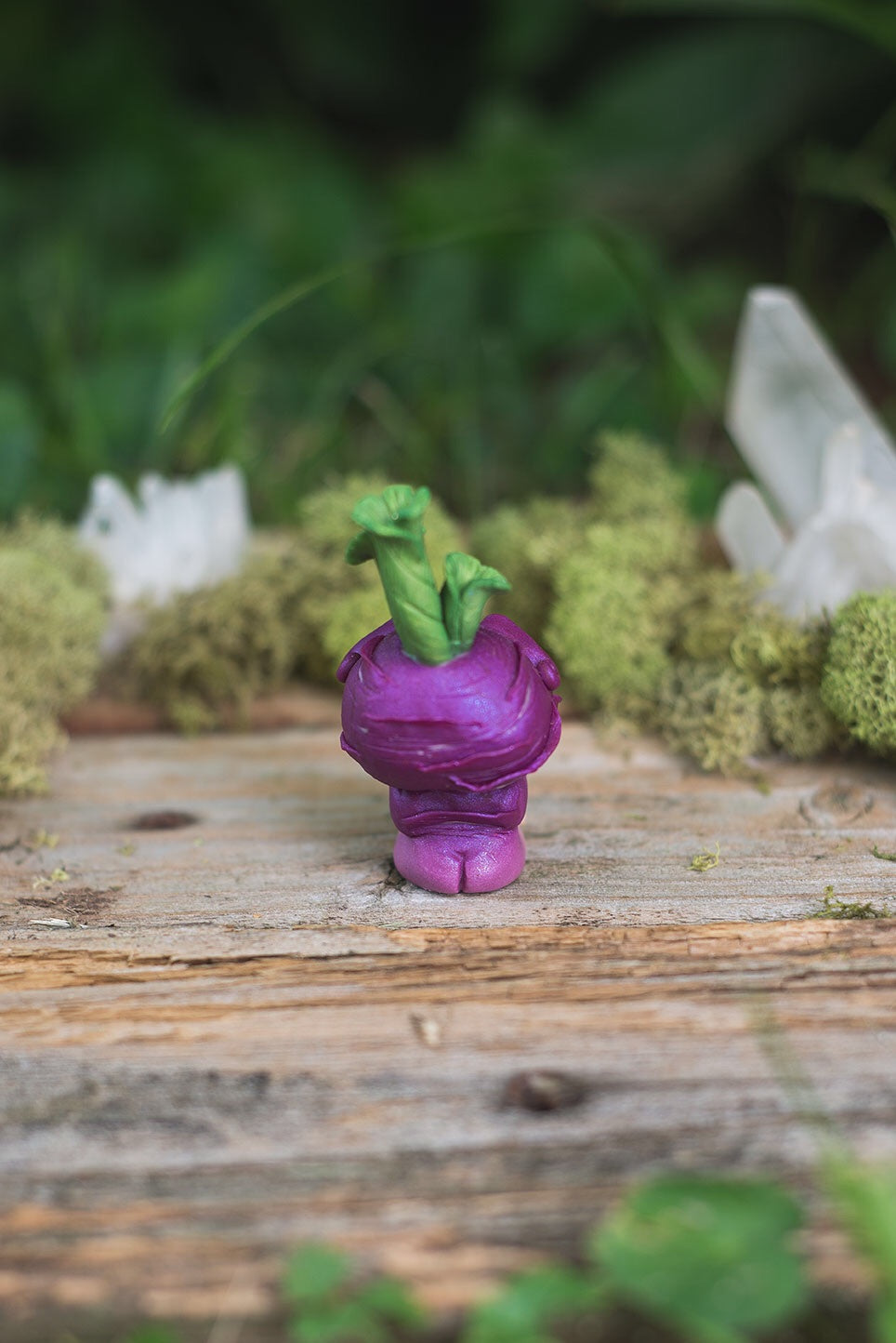 Turnip Mish with Labradorite Eyes & Fluorite Crystal