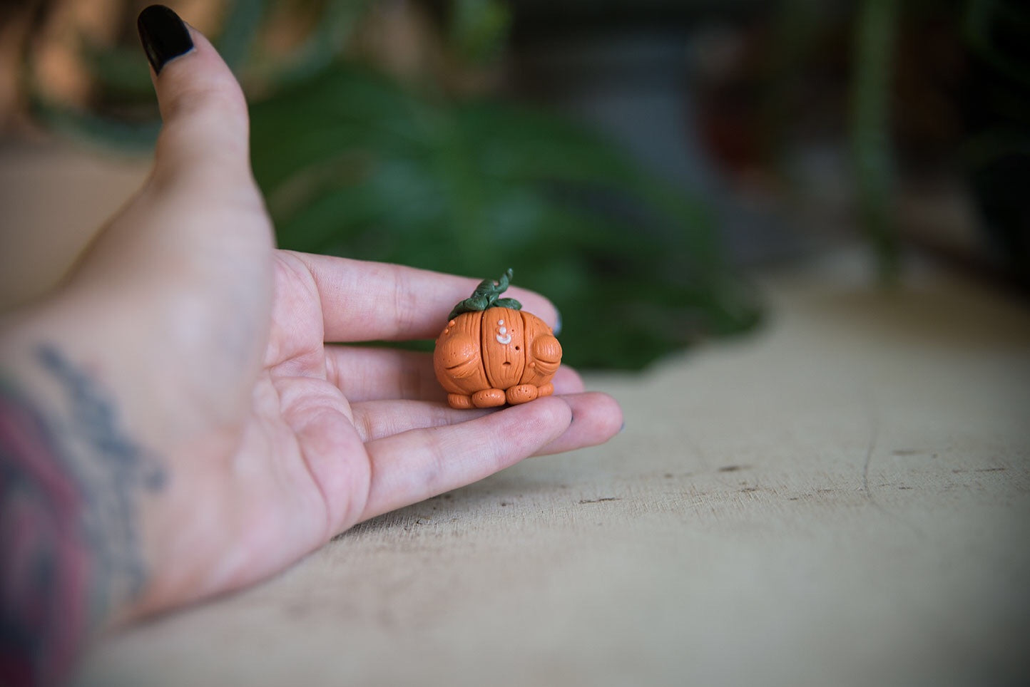 SALE! Pumpkin Spore #8