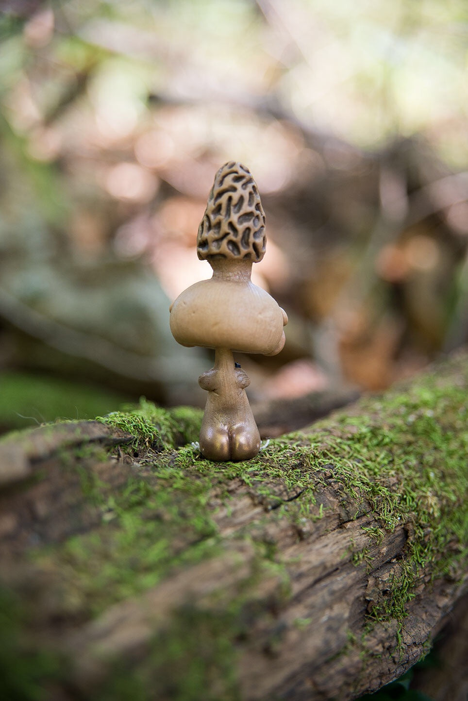 Morel Mishroom #158
