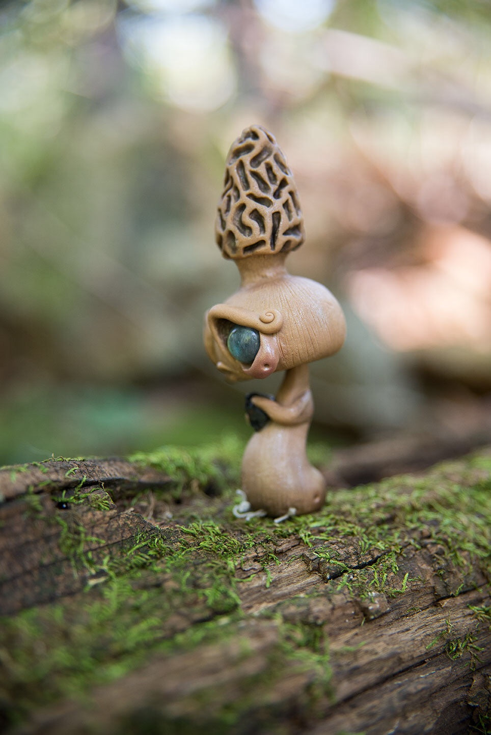 Morel Mishroom #158
