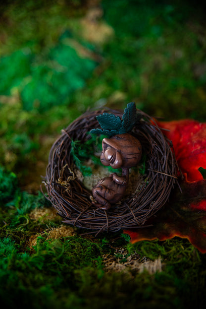 Mandrake Baby Mish #030