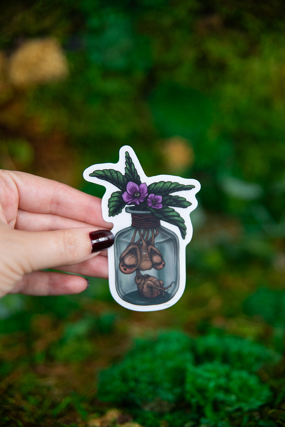 Baby Mandrake in a Jar Sticker