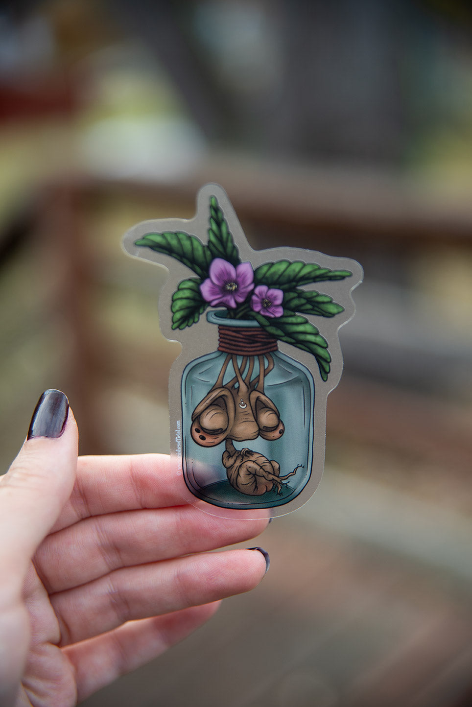 Baby Mandrake in a Jar Sticker