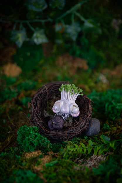 Sprouting Bulb Baby Mish #033
