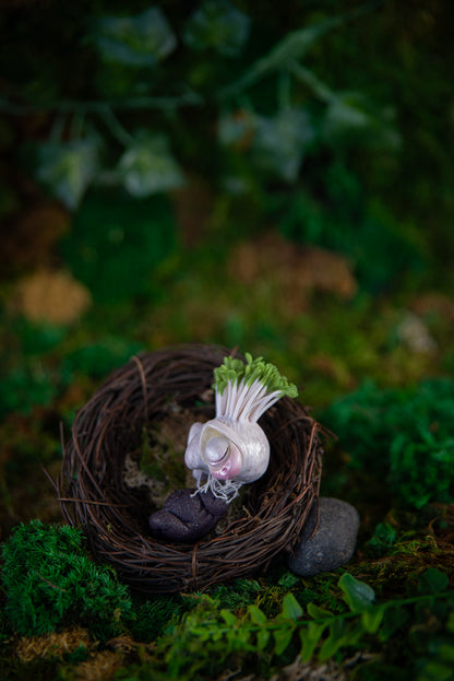 Sprouting Bulb Baby Mish #033