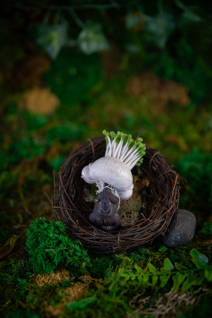 Sprouting Bulb Baby Mish #033