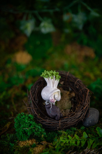 Sprouting Bulb Baby Mish #033