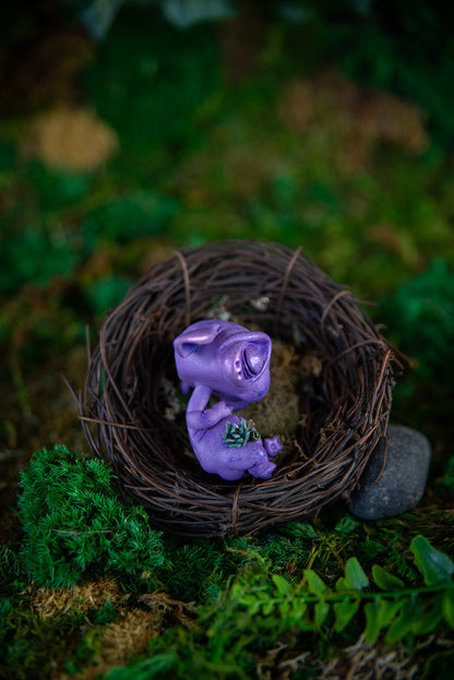 Succulent Goblin Baby Mish #031