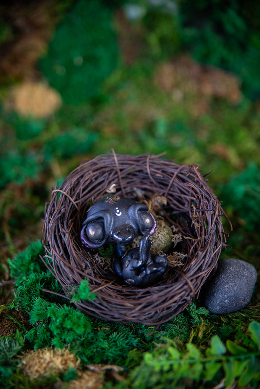 Black Duckling Baby Mish #035