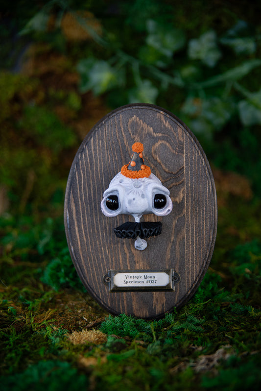 "Vintage" Moon Head Wall Mount #037