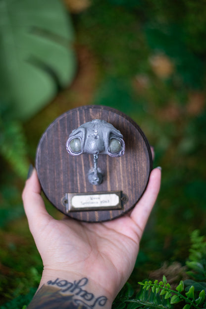 Silver Moon Mount #063
