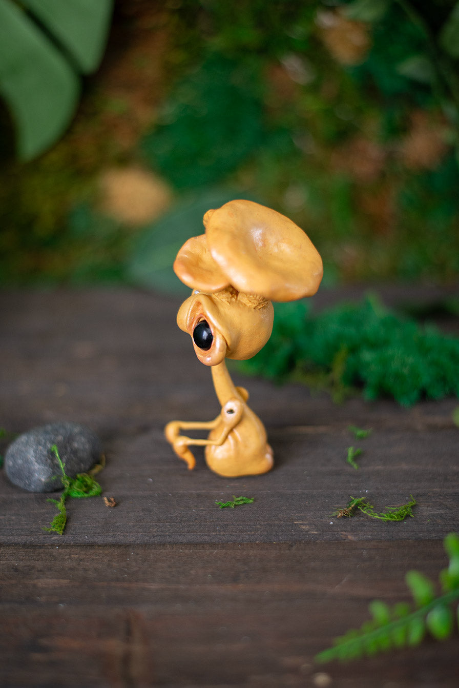 Chantrelle Adult Mishroom #268