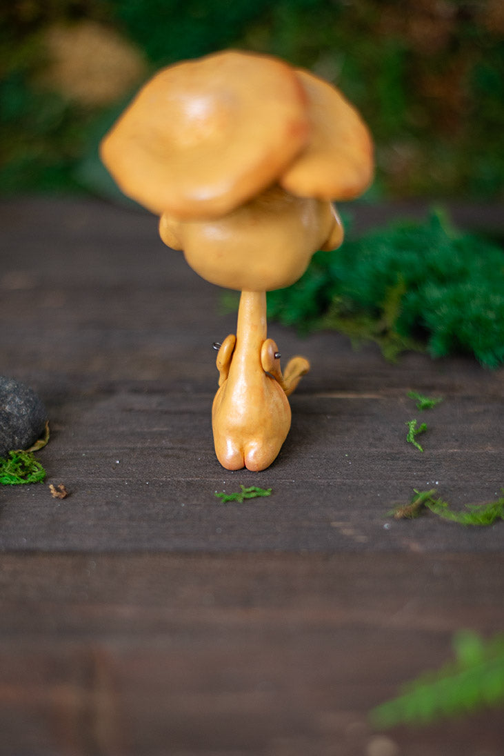 Chantrelle Adult Mishroom #268