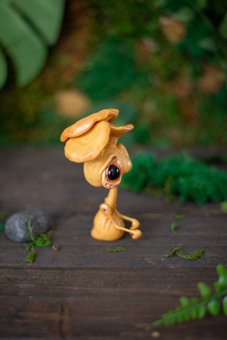 Chantrelle Adult Mishroom #268