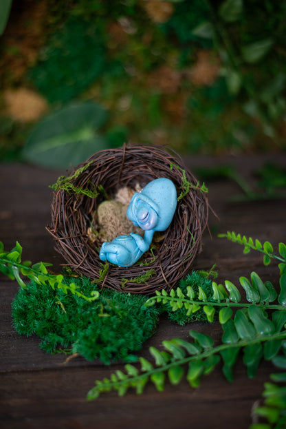 Robin Egghead Baby Mish #50