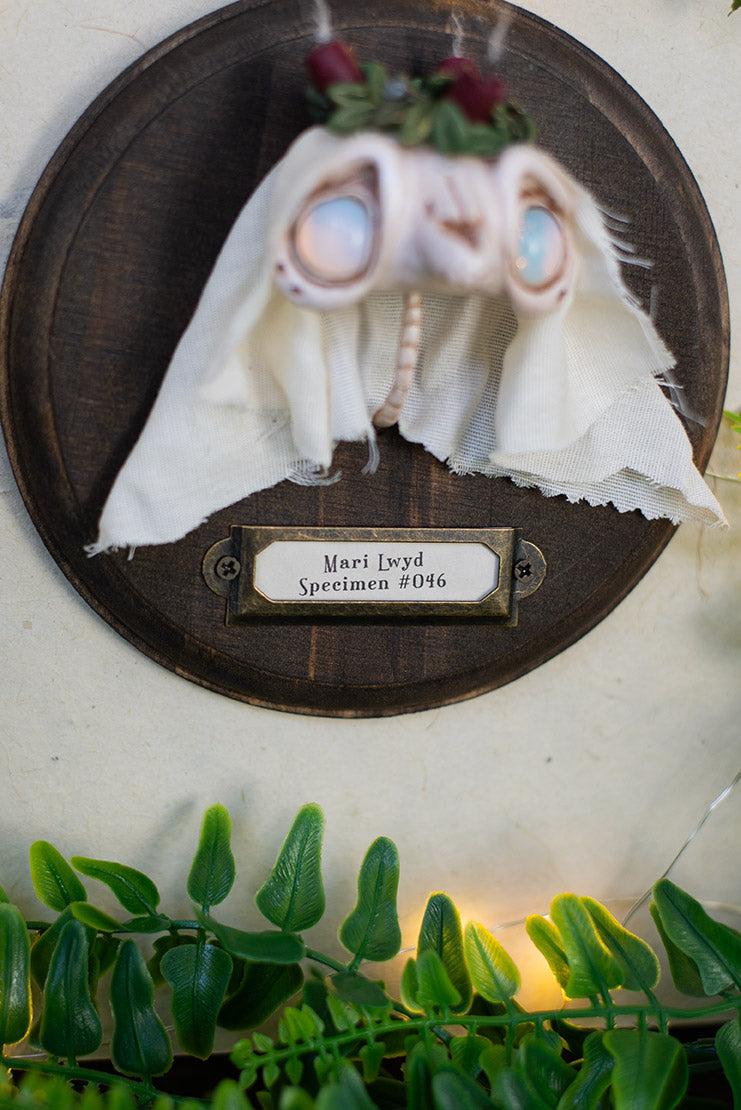 Mari Lwyd Wall Mount #046