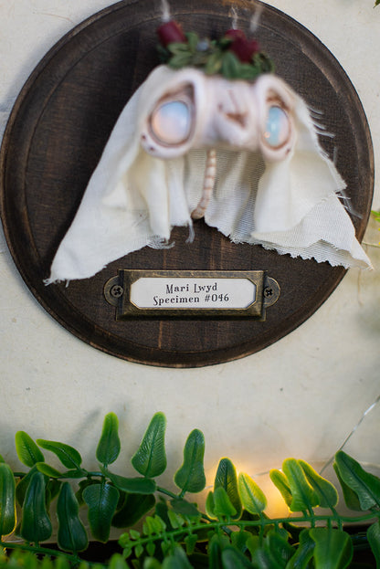Mari Lwyd Wall Mount #046