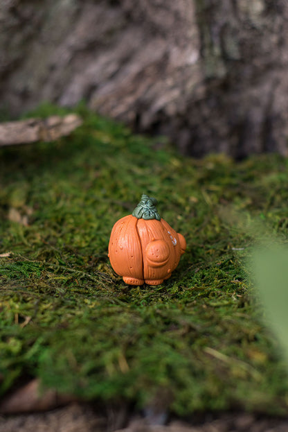 Pumpkin Spore #9