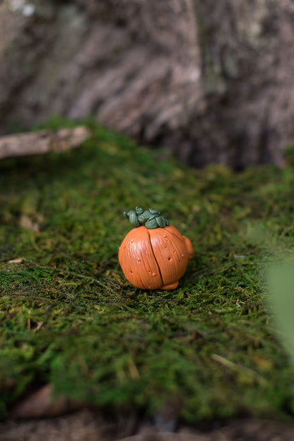Pumpkin Spore #9